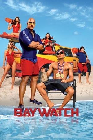 Baywatch 2017 Hevc | Dubbed Hindi Movie Dual Audio movie Web-DL