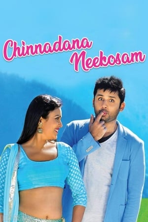 Chinnadana Nee Kosam 2014 Dual Audio | Dubbed Hindi Movie BluRay 400MB