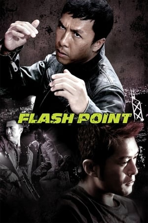 Flash Point (2007) Dual Audio | Dubbed Hindi Movie BluRay [1GB]