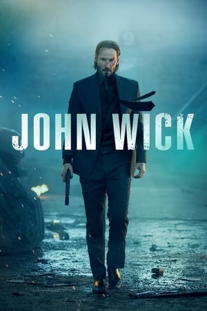 John wick 2014 100mb Dual Audio movie Hevc BRRip Download