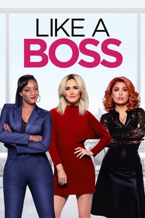 Like a Boss (2020) Dual Audio | Dubbed Hindi Movie Web-DL 300MB