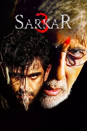 Sarkar 3 2017 350MB Full Movie | Dubbed Hindi Movie DVDRip Download