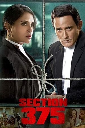 Section 375 (2019) Movie | Dubbed Hindi Movie HDRip - [360MB]