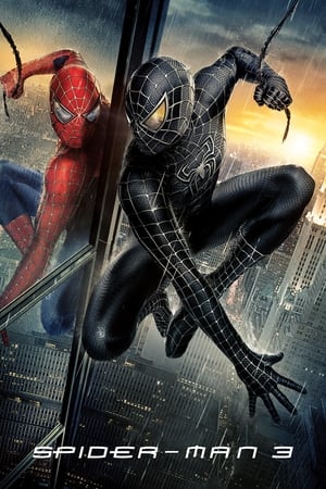 Spider-Man 3 (2007) Dual Audio | Dubbed Hindi Movie BluRay 300MB