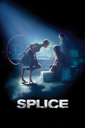 Splice 2009 Dual Audio | Dubbed Hindi Movie BluRay [1.3GB]