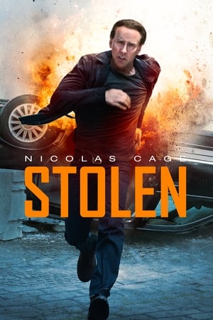 Stolen (2012) Dual Audio | Dubbed Hindi Movie BluRay 300MB ESubs