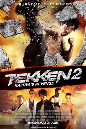 Tekken Kazuyas Revenge 2014 Dual Audio | Dubbed Hindi Movie BluRay [900MB]