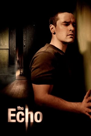 The Echo (2008) Dual Audio | Dubbed Hindi Movie BluRay [900MB]