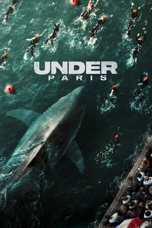 Under Paris 2024 Dual Audio HDRip | Dubbed Hindi Movie – 720p – 480p