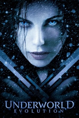 Underworld Evolution (2006) 100mb Dual Audio movie Hevc BRRip Download
